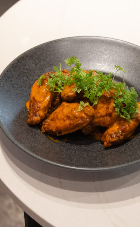 1030 Wings